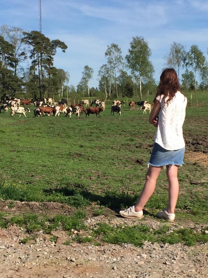 Stegemans Horse Hotel And Country Lodge Ljungby  Luaran gambar