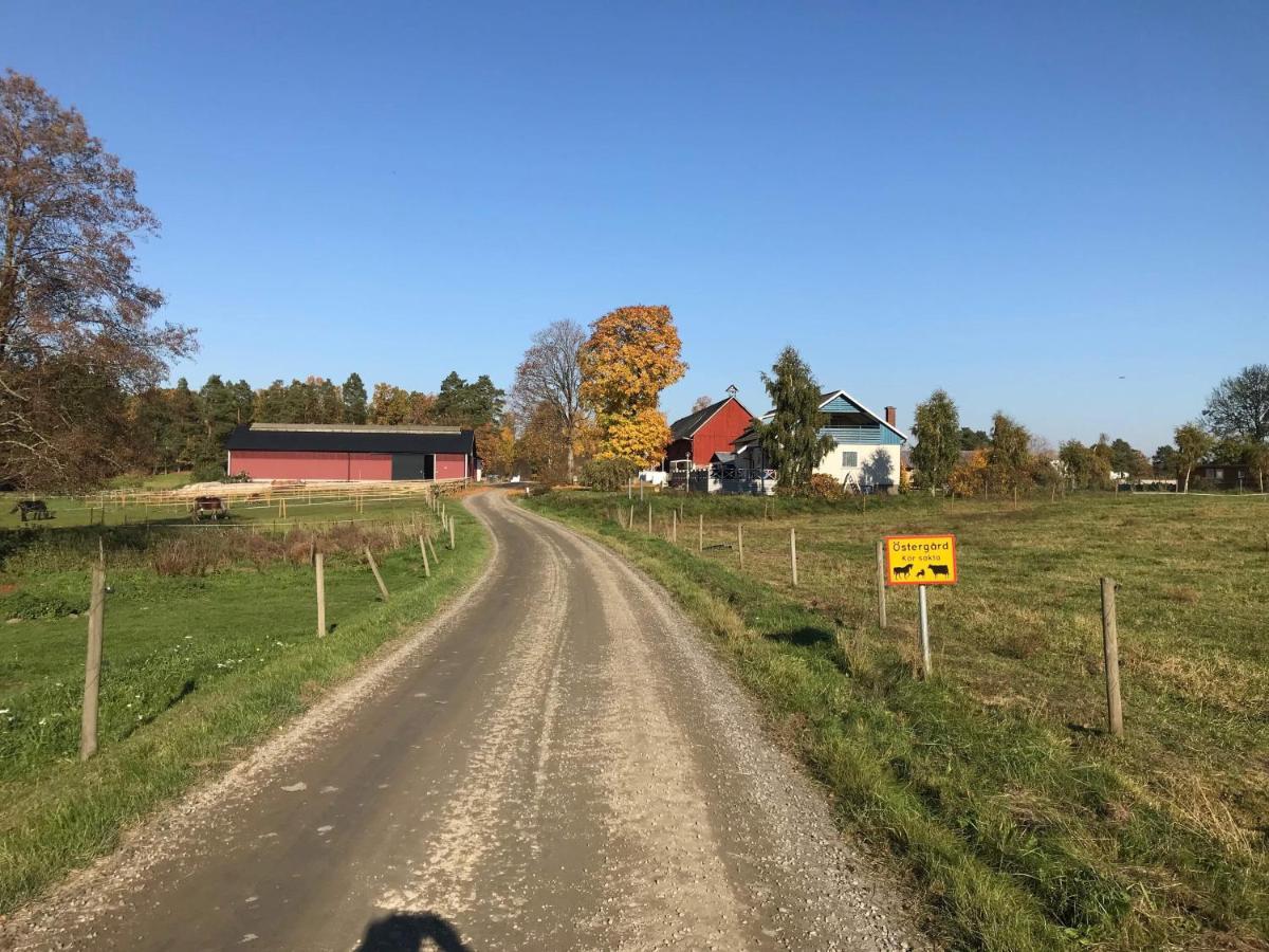 Stegemans Horse Hotel And Country Lodge Ljungby  Luaran gambar